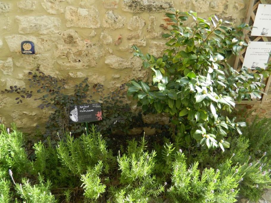 Casa Dell'Oliveto "Parcheggio Gratuito" Lägenhet Narni Exteriör bild