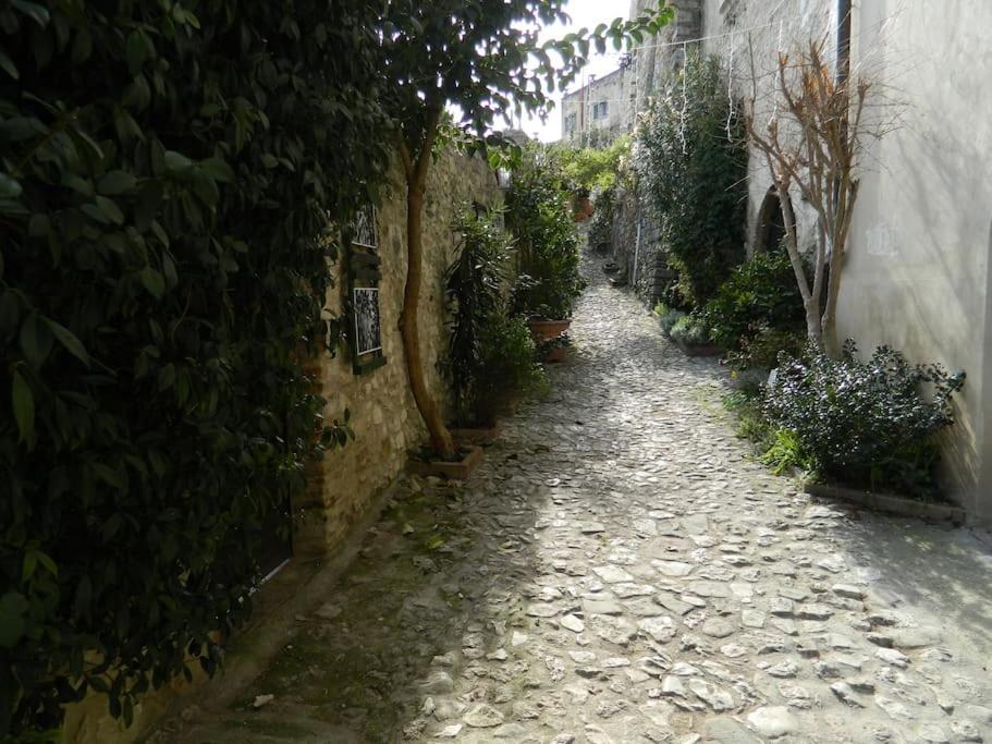 Casa Dell'Oliveto "Parcheggio Gratuito" Lägenhet Narni Exteriör bild