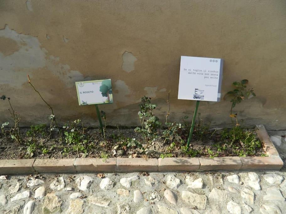 Casa Dell'Oliveto "Parcheggio Gratuito" Lägenhet Narni Exteriör bild