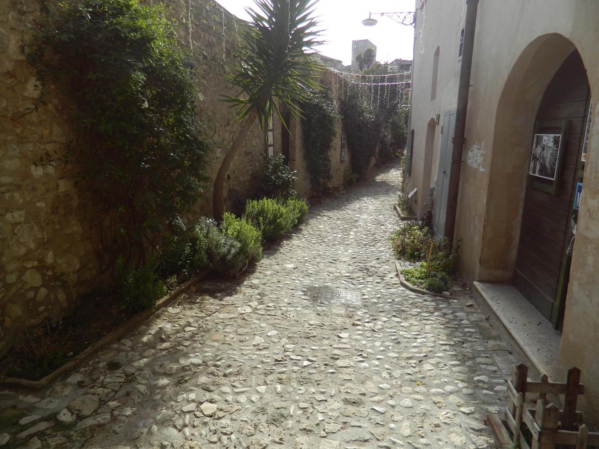 Casa Dell'Oliveto "Parcheggio Gratuito" Lägenhet Narni Exteriör bild