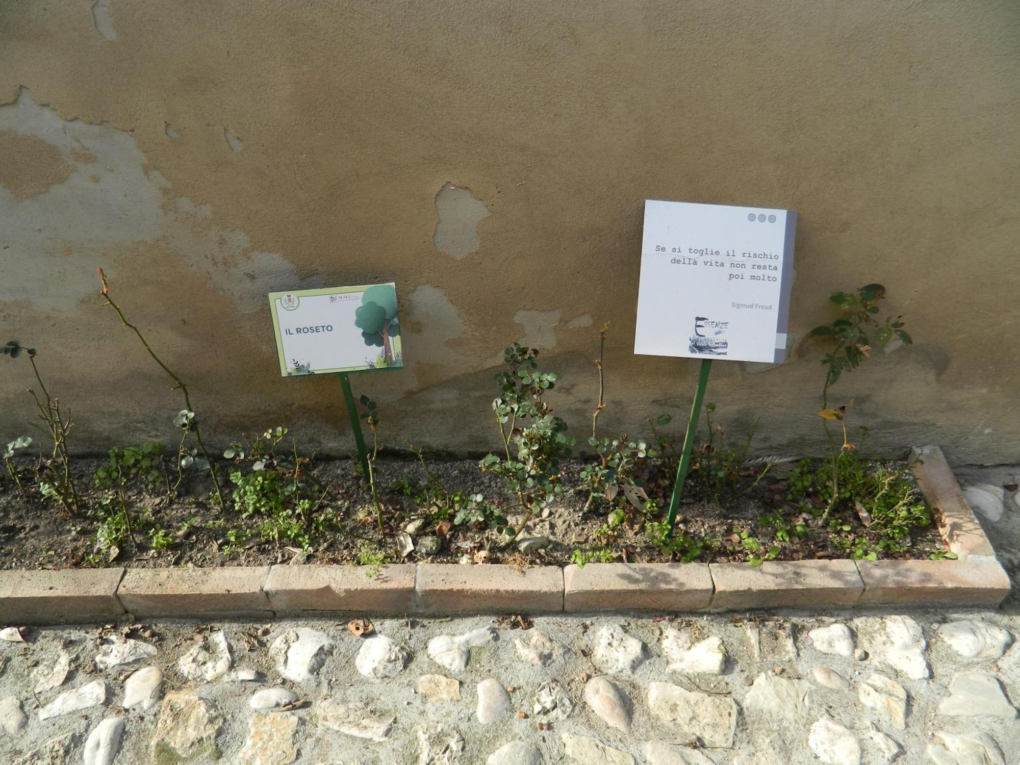 Casa Dell'Oliveto "Parcheggio Gratuito" Lägenhet Narni Exteriör bild