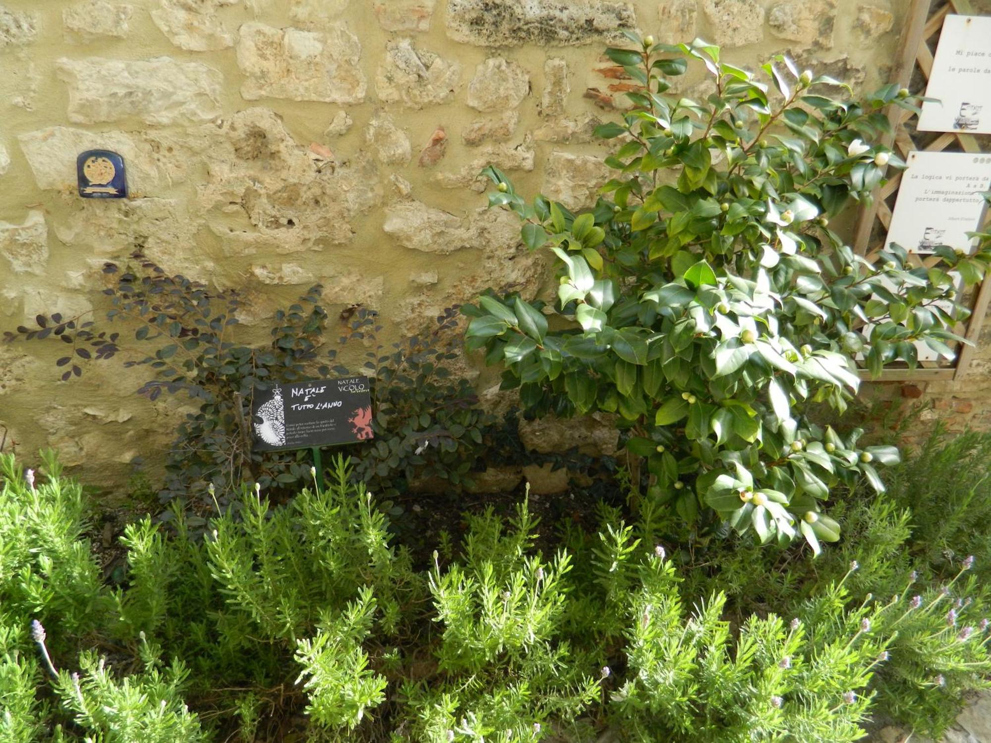 Casa Dell'Oliveto "Parcheggio Gratuito" Lägenhet Narni Exteriör bild